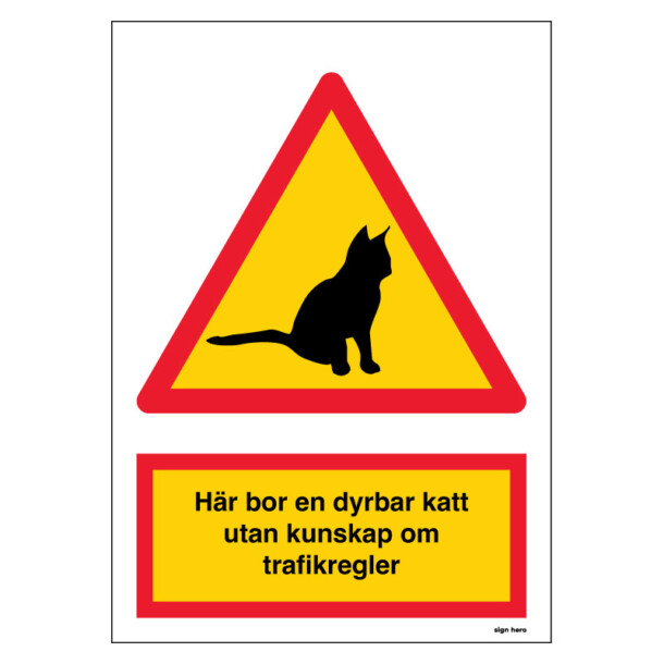 Här bor en dyrbar katt utan kunskap om trafikregler kattskylt