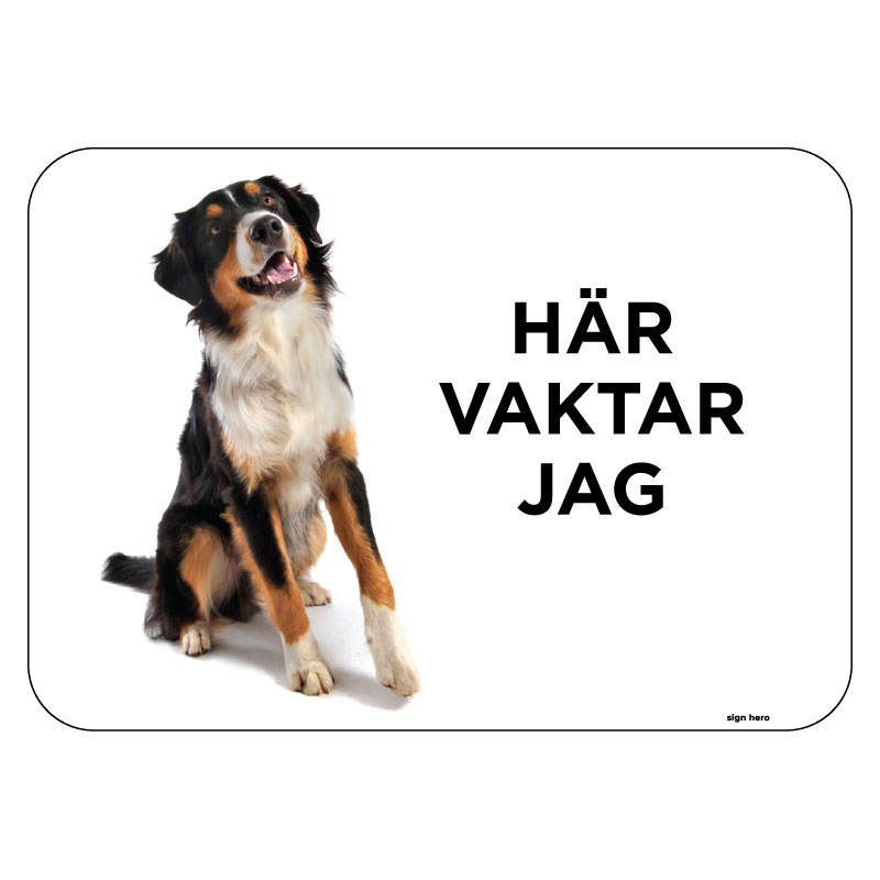 Berner sennenhund Här vaktar jag hundskylt